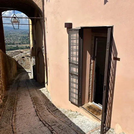 Lo Scrigno Di Alice *